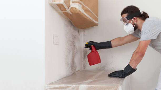 Professional Crawl Space Mold Remediation technician working in Hamilton, MI