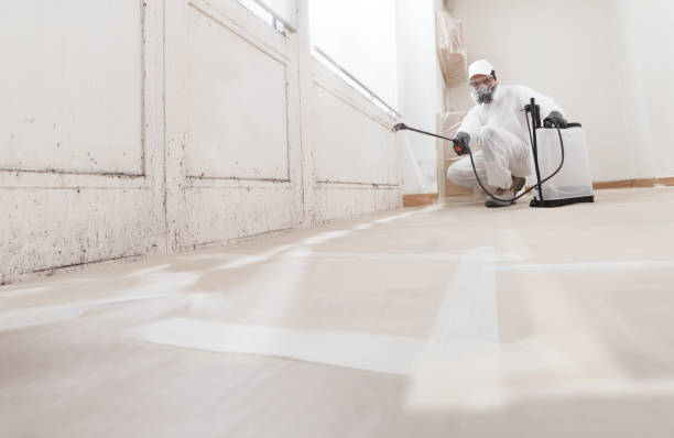 24/7 Emergency Crawl Space Mold Remediation experts in Hamilton, MI