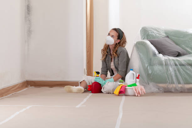 Reliable Crawl Space Mold Remediation contractor in Hamilton, MI by 24 Hour Mold Removal