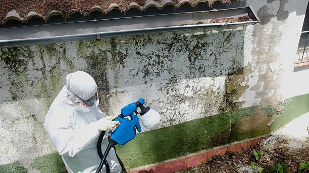 Top rated local Crawl Space Mold Remediation specialists in Hamilton, MI